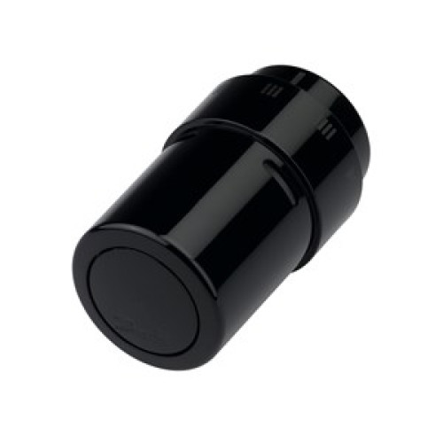 013G6075 RAX Valve Thermostatic sensor element RAL 9005 Black