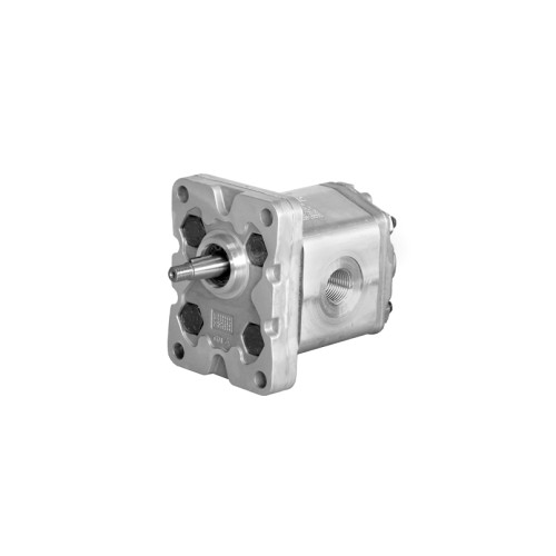 1P EXTERNAL GEARS PUMPS 1P EXTERNAL GEARS PUMPS