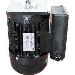 A19 0.37 kW 220 V electric motor