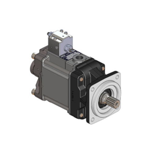 65121109LS6 PPV LS 090L - BSP AX SAE C4 C-14T