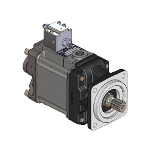 65121111LS1 PPV LS 110R - BSP AX SAE C4 C-14T