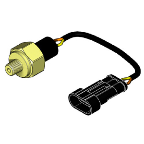 31200500110 IDROSTOP NA 0,5 BAR G1/8 + PACKARD