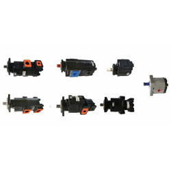 7049111013 PGP640A0650CE4A4NT6T5B1B1 65 CC RIGHT TURN CAST IRON BODY PUMP