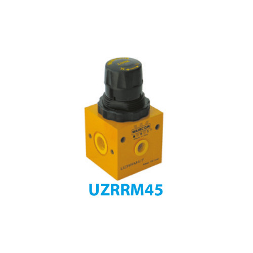 UZRRH43 Regulator/Panel Type (0.2-2 Bar Adjustment) 1/4" 