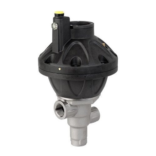 PN2S/250 Pneumatic Valve