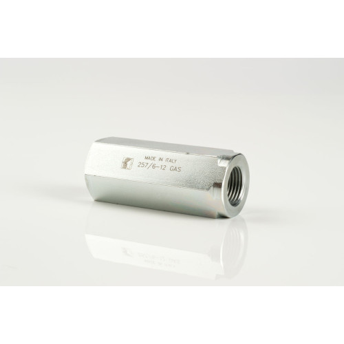 FT 257/6 In line check valves