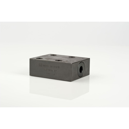 FT 280/6 Plate check valves