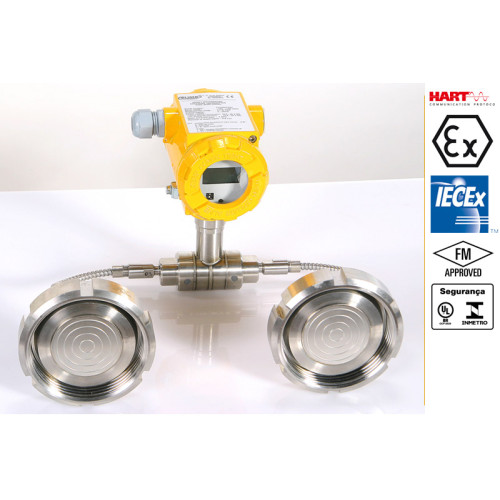 APR-2200ALW Intelligent Differential Pressure Transmitter Model with Two Diaphragm Seals