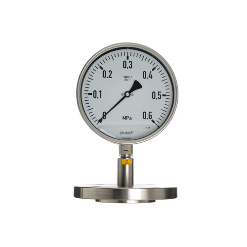 MS-100 Diaphragm Sealed Pressure Gauge