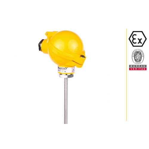 CT P1  Temprature Sensor