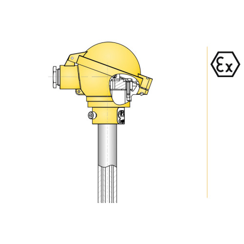 CT UC  Temprature Sensor