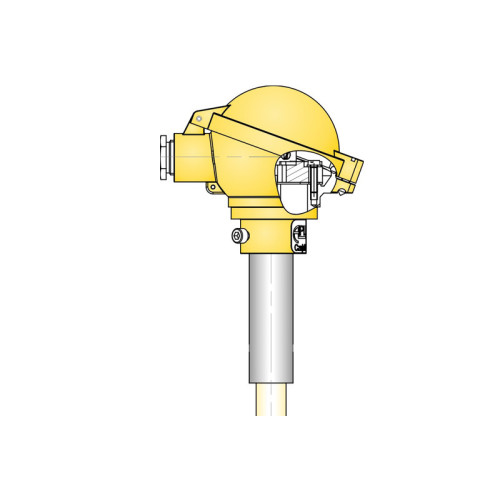 CT C2  Temprature Sensor