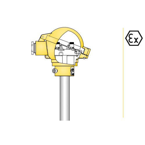 CT F  Temprature Sensor
