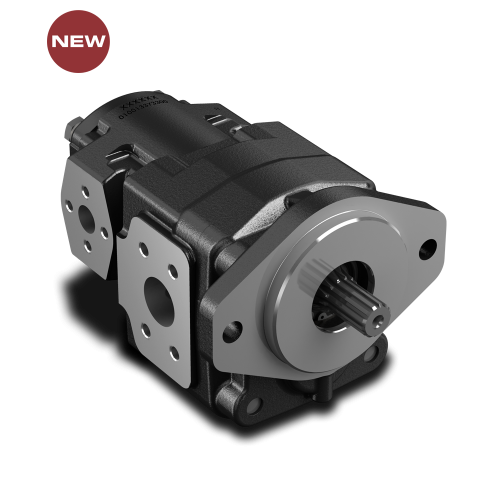 3TPW - GROUP 3 Cast iron gear Pumps