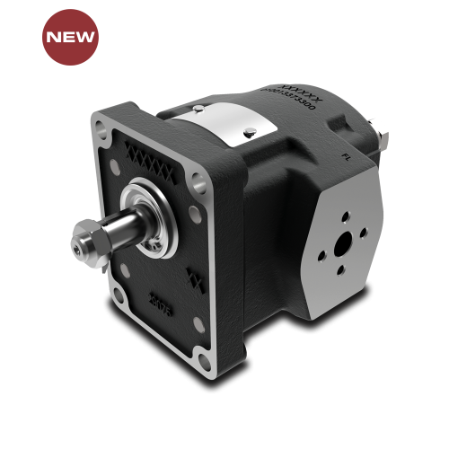 2XMW - GROUP 2 Cast iron gear motors