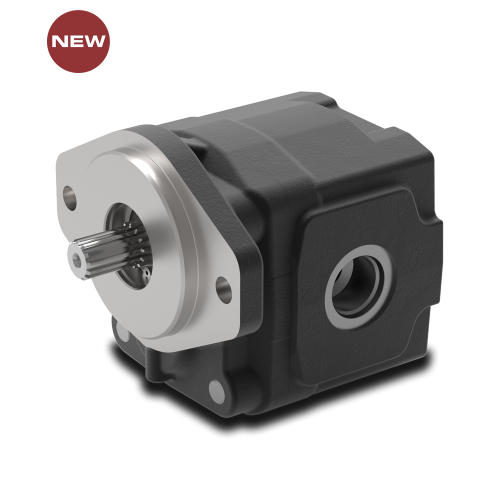 3TMW - GROUP 3 Cast iron gear motors
