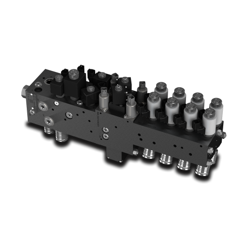 HICS Customized manifolds