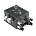 HICS Customized manifolds