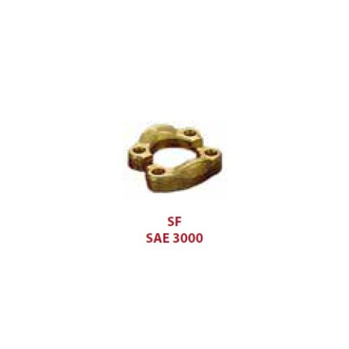 SF3008ZT 3" SAE 3000 SERIES FLANGE CAP ( FORGED STEEL)