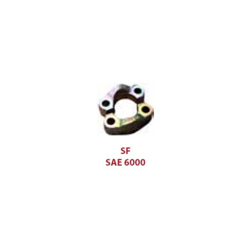 SF6002ZT 3/4" SAE 6000 SERIES FLANGE CAP ( FORGED STEEL)
